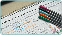 O Level Study Plan