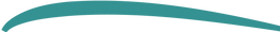 decorative line
